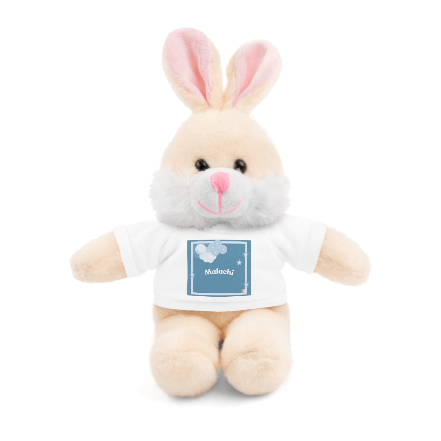 Stuffed Animals with Tee