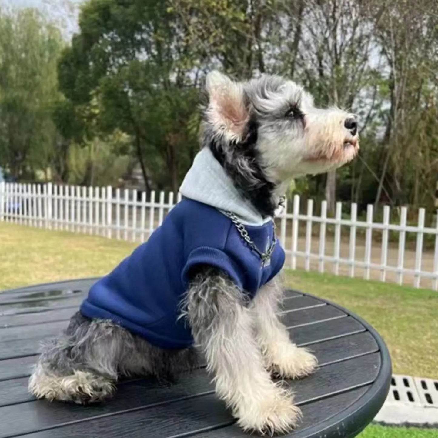 WANGUPET Winter Dog Hoodie – Soft & Warm Sweatshirt for Small and Medium Dogs