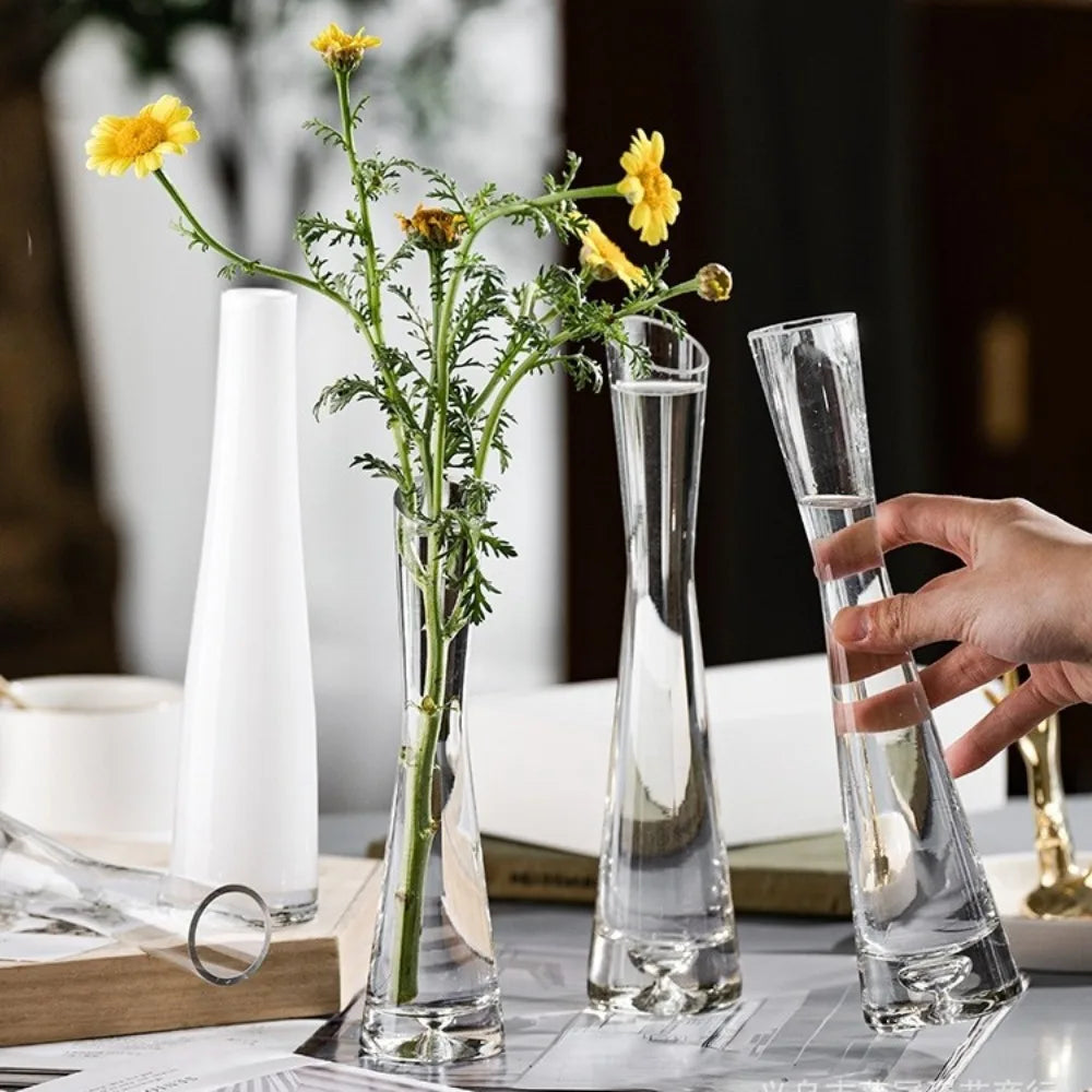 Modern European Transparent Glass Vase – Slanted Mouth Hydroponic Flower Vase for Home Decor, Table Centerpiece, Office & Living Room Decoration