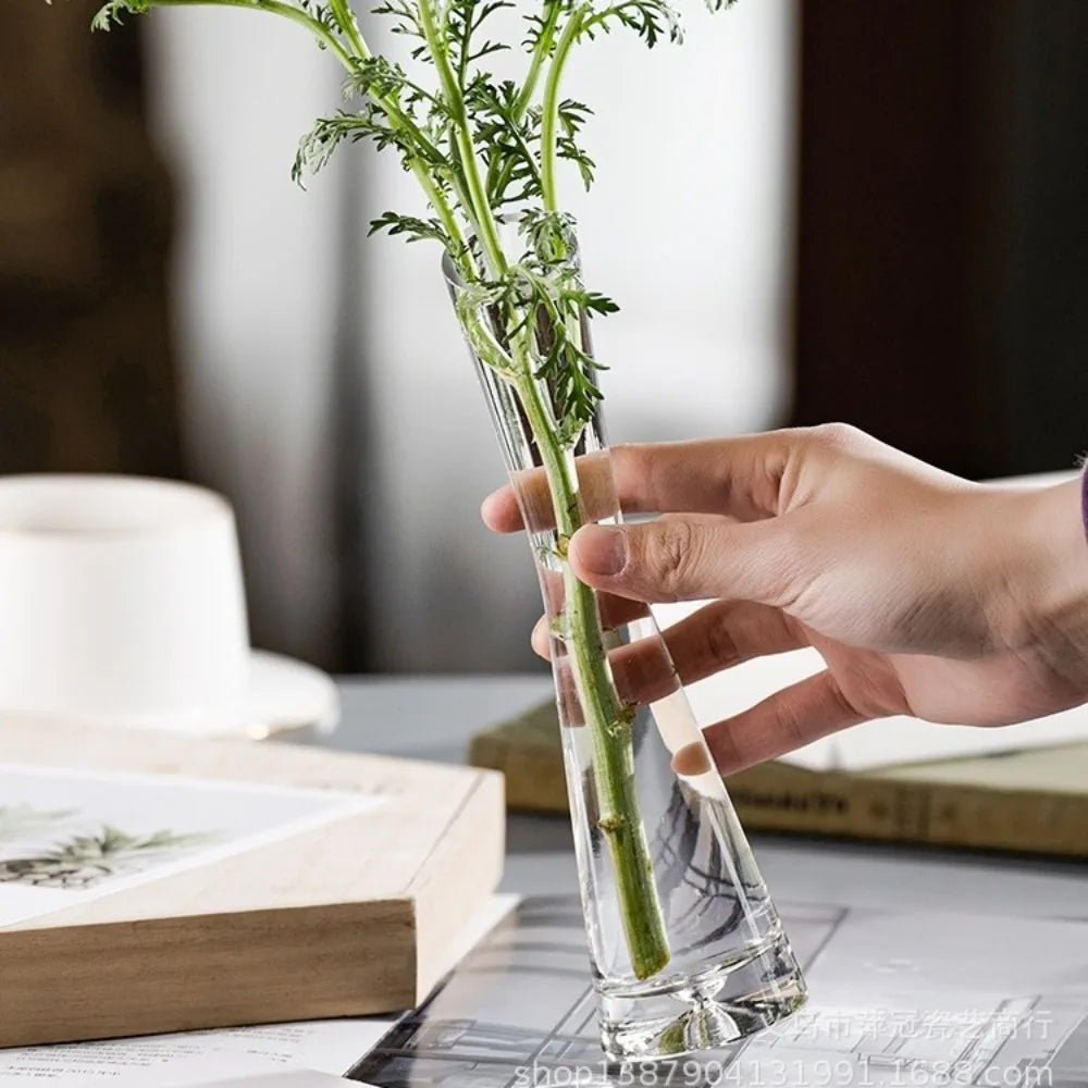 Modern European Transparent Glass Vase – Slanted Mouth Hydroponic Flower Vase for Home Decor, Table Centerpiece, Office & Living Room Decoration