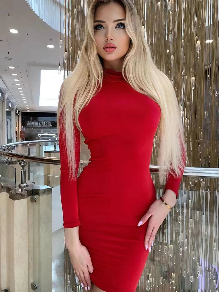 Turtleneck Long Sleeve Skinny Mini Dress Sexy Skirt