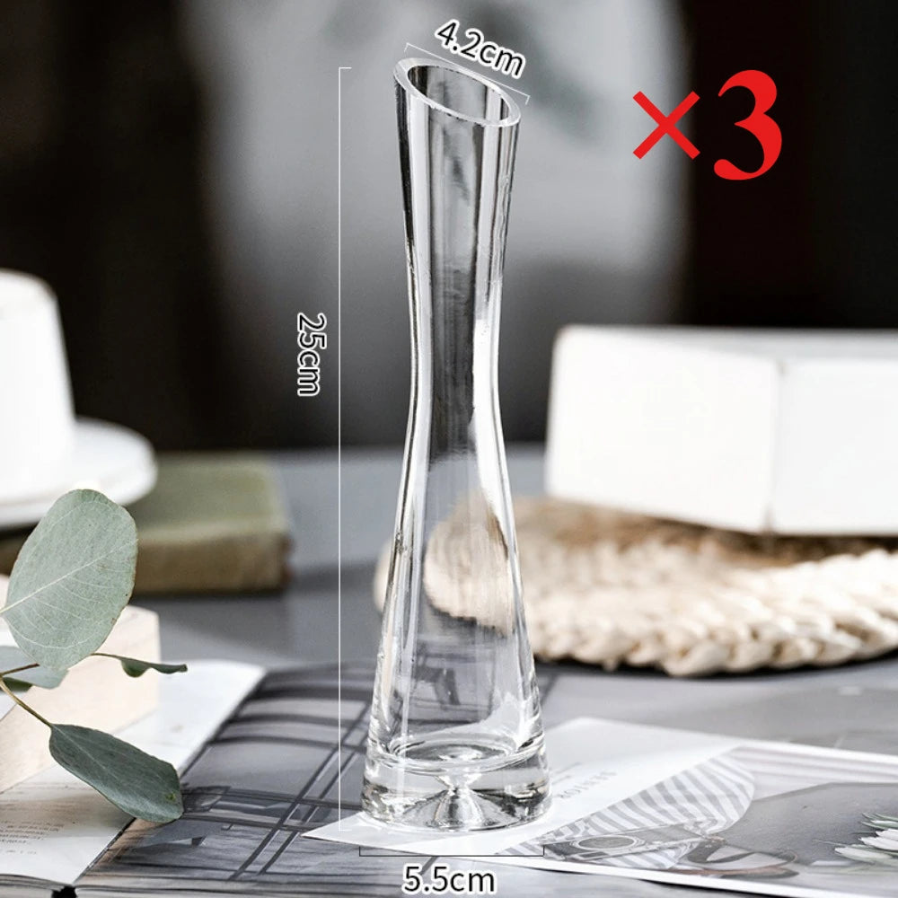 Modern European Transparent Glass Vase – Slanted Mouth Hydroponic Flower Vase for Home Decor, Table Centerpiece, Office & Living Room Decoration