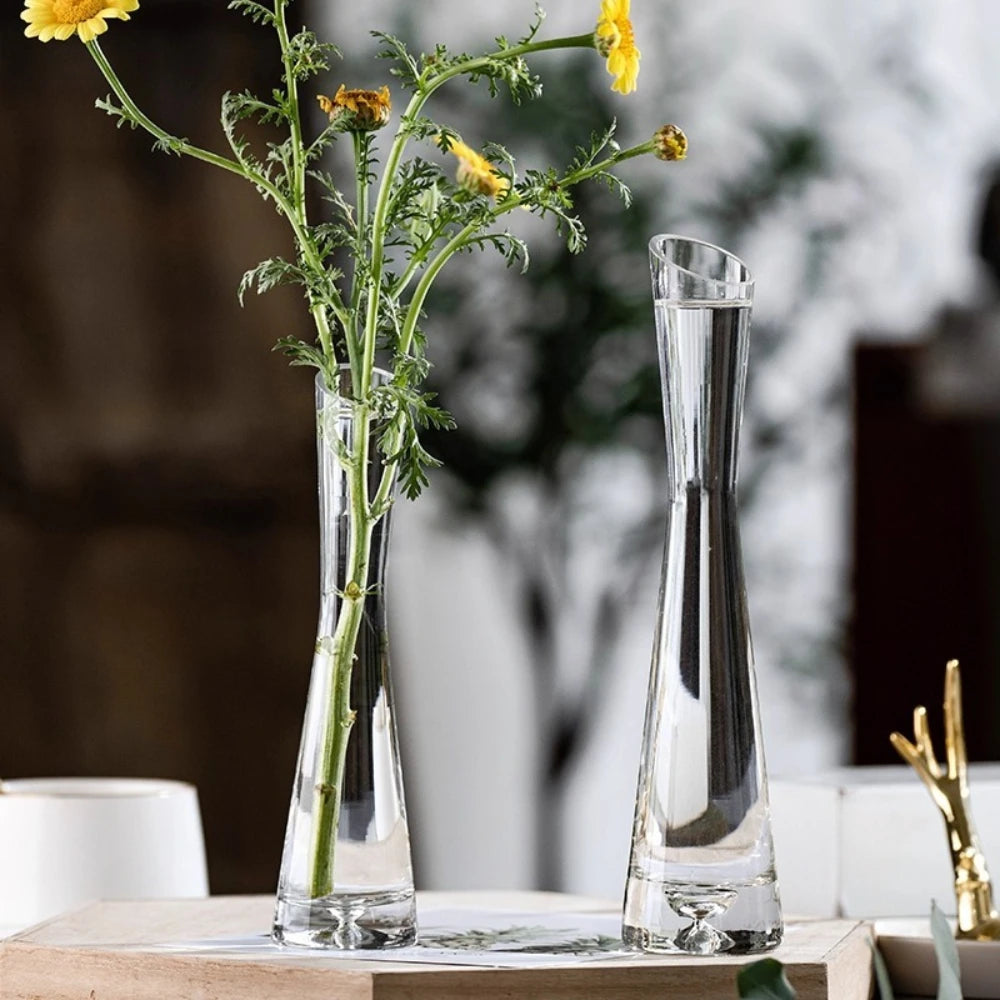 Modern European Transparent Glass Vase – Slanted Mouth Hydroponic Flower Vase for Home Decor, Table Centerpiece, Office & Living Room Decoration