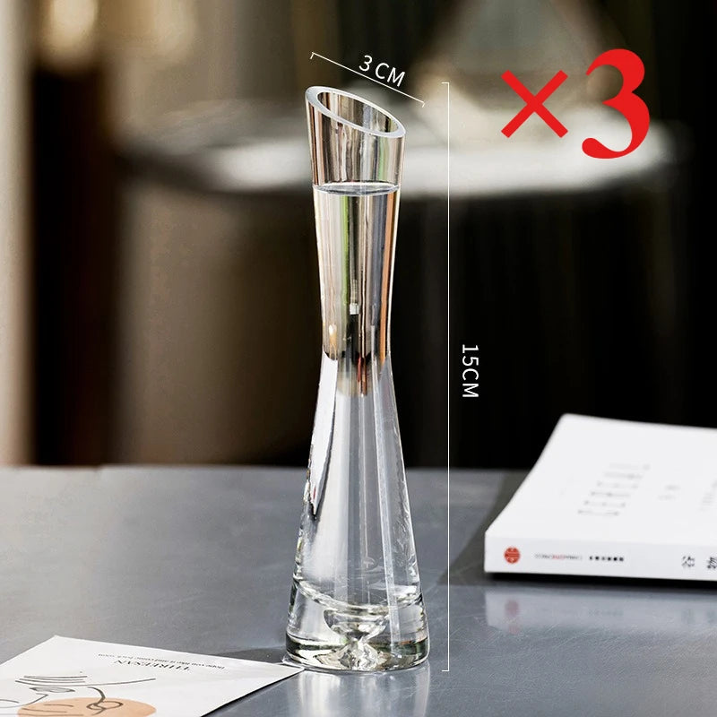 Modern European Transparent Glass Vase – Slanted Mouth Hydroponic Flower Vase for Home Decor, Table Centerpiece, Office & Living Room Decoration